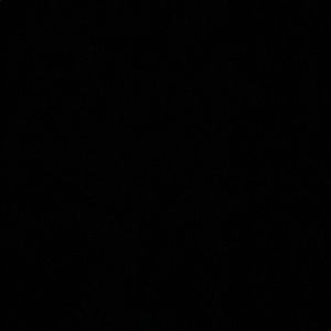 Meet your Posher, Damian